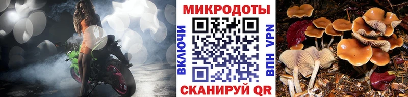 Псилоцибиновые грибы Magic Shrooms  наркошоп  Собинка 