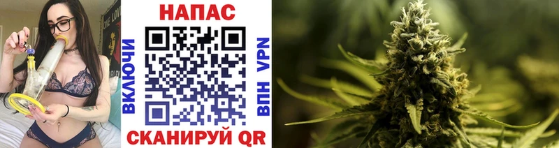 Бошки Шишки OG Kush  купить наркоту  Собинка 